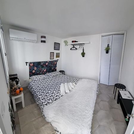 Garden Room Пиза Екстериор снимка