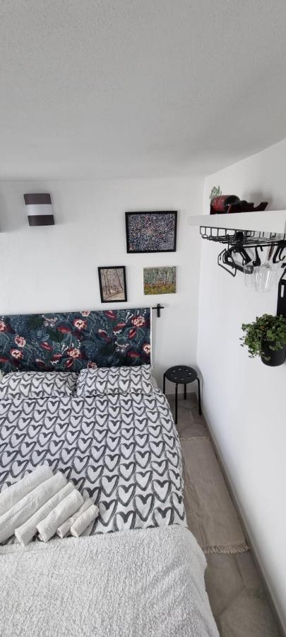 Garden Room Пиза Екстериор снимка