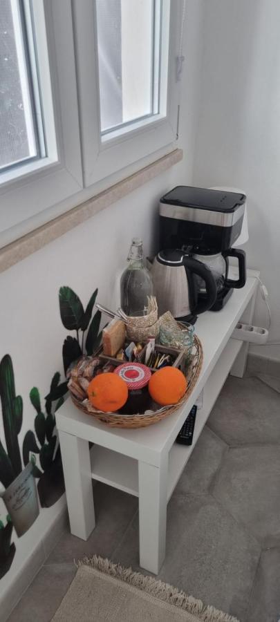 Garden Room Пиза Екстериор снимка