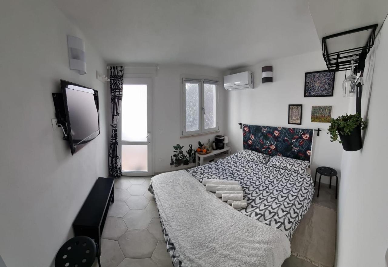 Garden Room Пиза Екстериор снимка